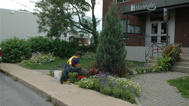 Trois fleurons pour Marieville