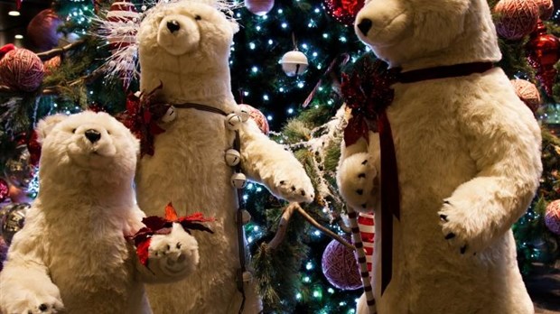 « Un Noël chez les Ours blanc à Montréal », par Denis Provencher, Chambly
