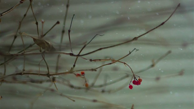 « Tempête hivernale », par Lucie Rivard, Chambly