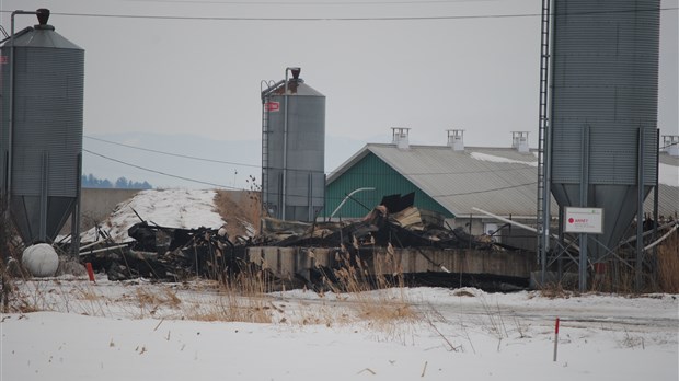 Plus de 1400 porcs périssent dans un incendie à Sainte-Angèle