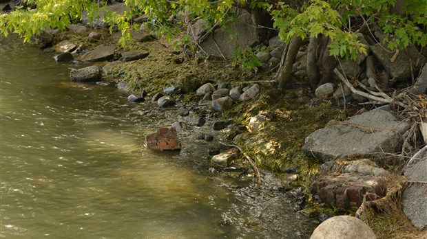 La rivière Richelieu a meilleure mine