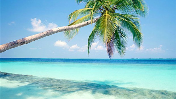Êtes-vous réellement prêt à partir en vacances dans le sud ?