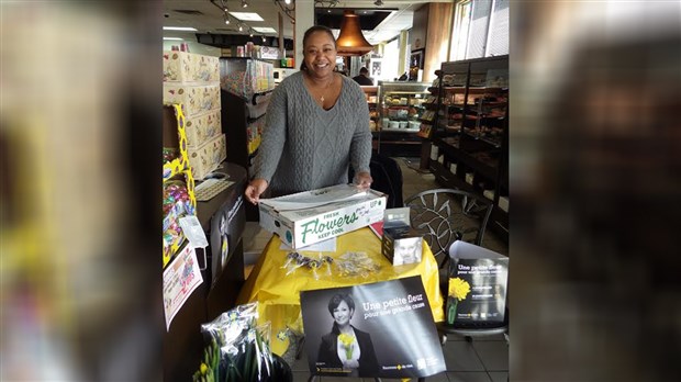 Plus de 15 000 jonquilles ont été vendues pour amasser des dons pour lutter contre le cancer