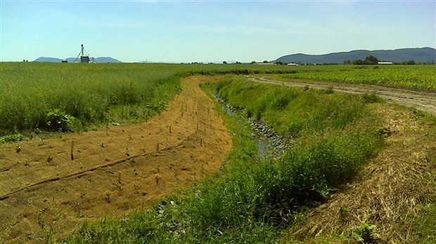 Plus de 31 000 $ pour le projet de Sensibilisation dans le bassin versant de la rivière des Hurons