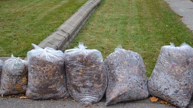 Collectes de résidus verts à Chambly