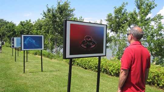 Profitez du beau temps pour découvrir l’exposition photo du Club de photographie l’Iris de Chambly 