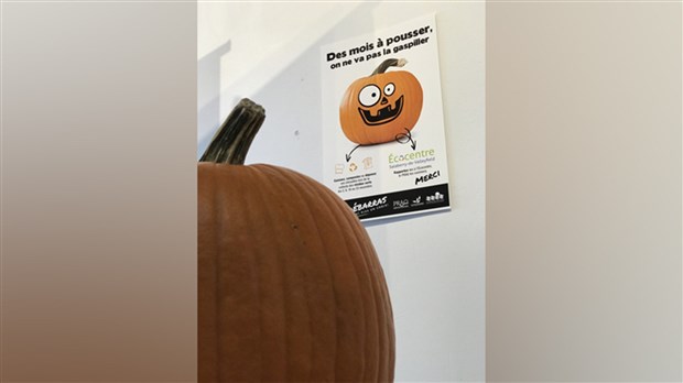 Après l'Halloween, donnez une seconde vie à vos citrouilles 