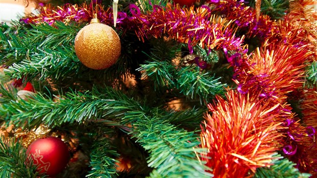 Collecte de sapins naturels à Chambly le 7 janvier prochain 