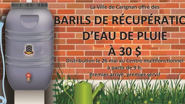 Distribution d'arbre et de baril récupérateur d'eau pour les carignanois