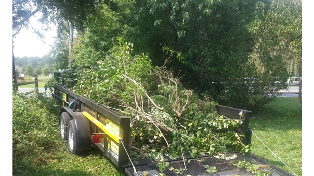 La collecte de branches de la Ville de Carignan se tiendra le 9 juin