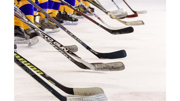 Une première édition pour la Journée de perfectionnement des entraîneurs québécois 