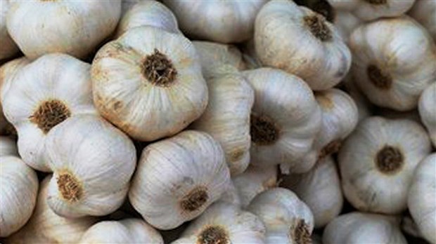 Producteurs, marchés publics, épiciers et consommateurs  mettent à l’honneur un produit d’ici!    