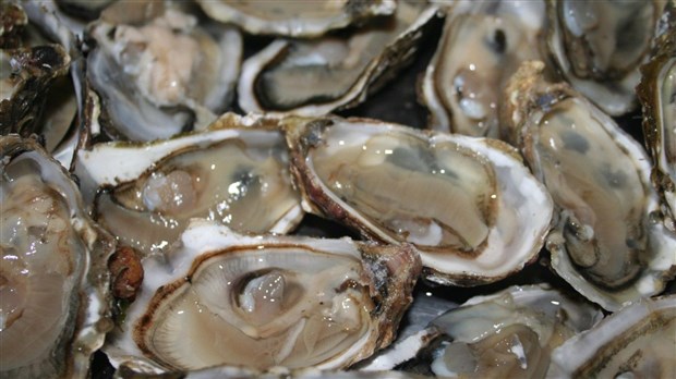 Rappel d'huîtres de marque Future Seafoods Inc 