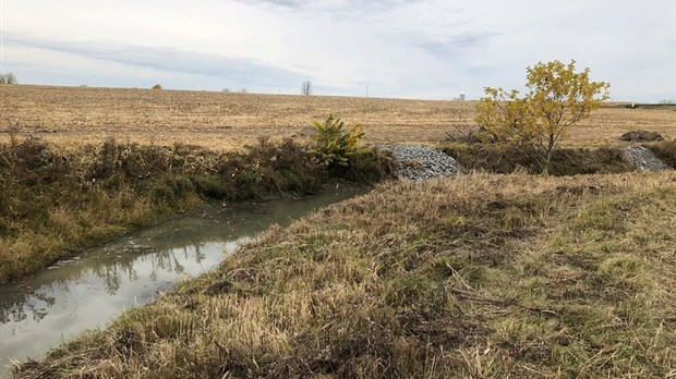 Une aide de160 000 $ pour protéger les habitats aquatiques et champêtres de la Rivière Pot au Beurre