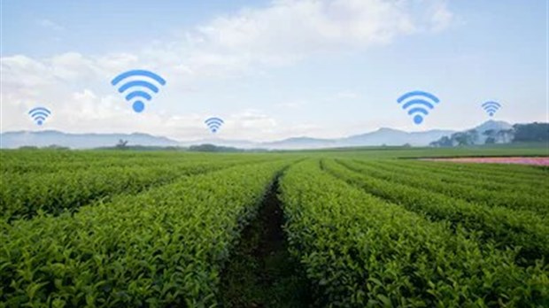 Bell lance l’Internet sans fil à large bande dans la région de la Montérégie