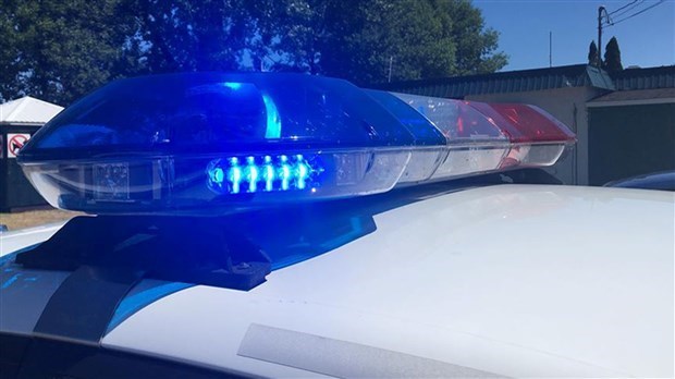 Arrestation d'un homme après l'attaque de chiens cet été