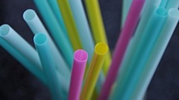 Le NPD veut interdire les plastiques à usage unique d'ici 2022 