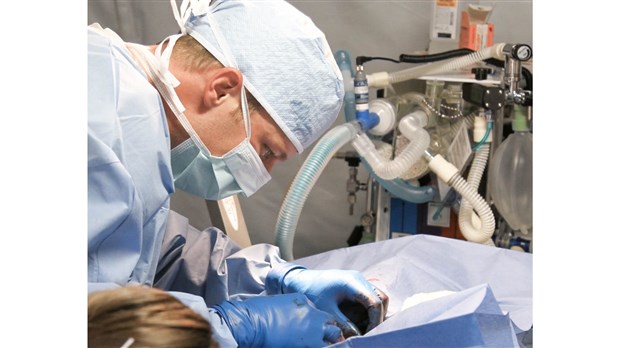 Transplant Québec dévoile un bilan positif pour l'année 2018