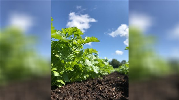 130 nouvelles fermes démarrées en Montérégie en 2018 