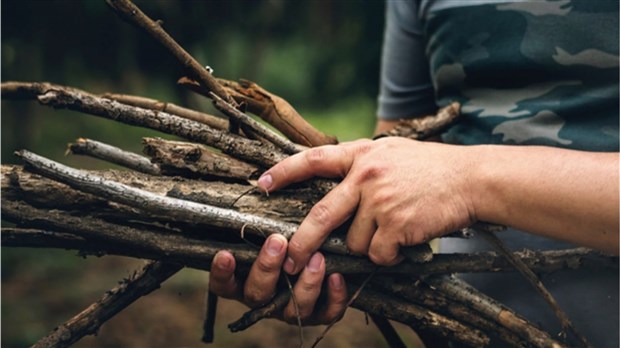 Branches d'arbres recueillies prochainement au garage municipal de Carignan 