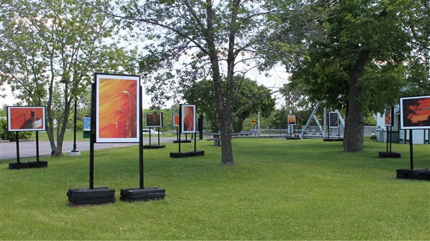 Une exposition collective extérieure ayant la couleur orange pour thématique 