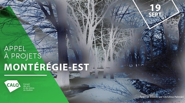 Appel à projets pour les artistes, écrivains et organismes artistiques de la Montérégie-Est