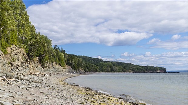 Grève générale dans cinq parcs nationaux cet été 