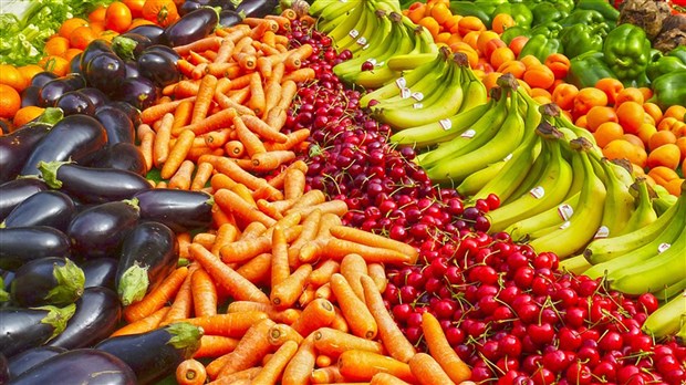 En septembre, on mange local au Québec 