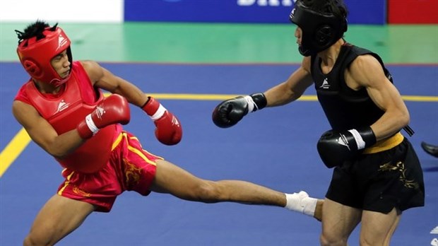 Jeux d'hiver de l'Ontario: Chambly et Carignan représentés en Wushu