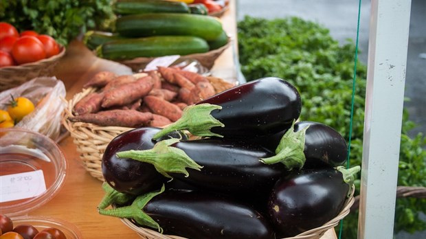 Les Virées gourmandes de la Montérégie: des aliments locaux et de saison en boxes