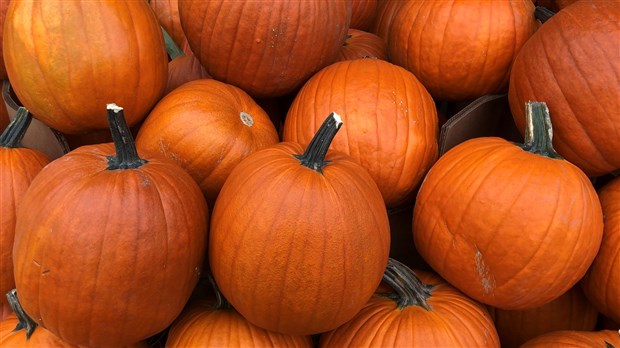 Dernière chance de participer au concours pour l'Halloween 