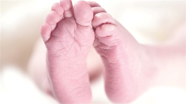 C'est parti dès dimanche pour la Grande semaine des tout-petits 