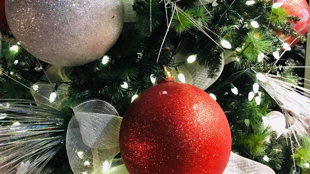 Offrez une seconde vie à votre sapin
