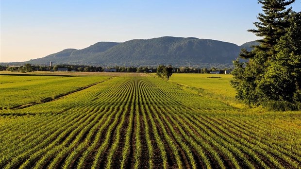 Adaptation aux changements climatiques: un forum régional se prépare 