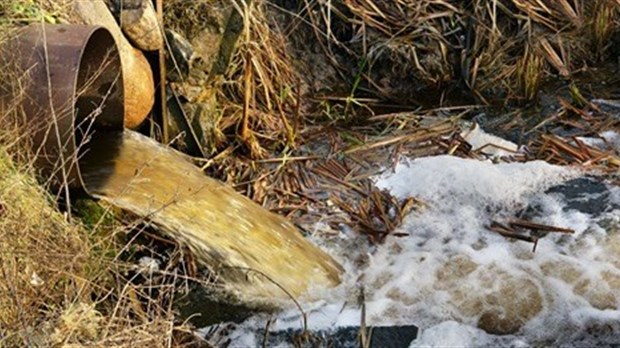 Eaux usées : le CRE lutte pour un grand chantier de l'eau propre au Québec