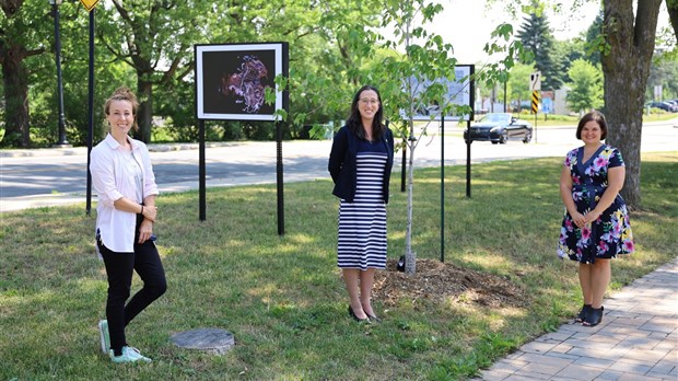 Le Club de photo l’Iris de Chambly expose au parc Fréhel