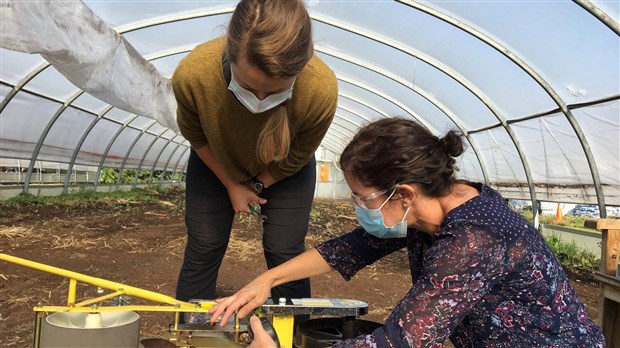 Une session d’hiver hybride revisitée à l’Institut de technologie agroalimentaire