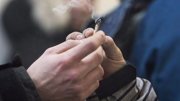 Davantage de Québécois consomment du cannabis, sauf chez les 15-17 ans