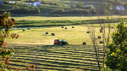 Accès aux terres agricoles pour la relève: l'UPA réclame un nouveau projet de loi