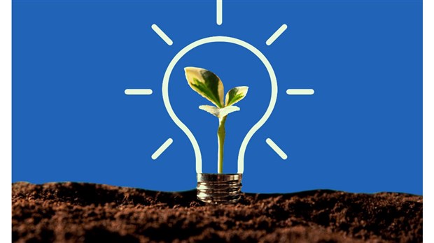 Soumettez votre projet inspiré par le thème de l'environnement d'ici ce vendredi 