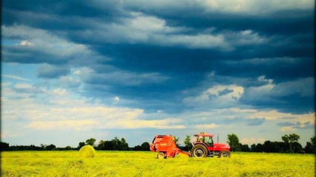 Veille d'orages violents pour la région