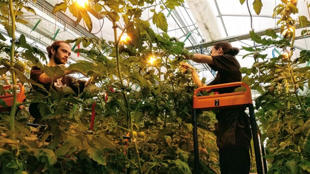 L’ITA offrira une nouvelle formation cet automne