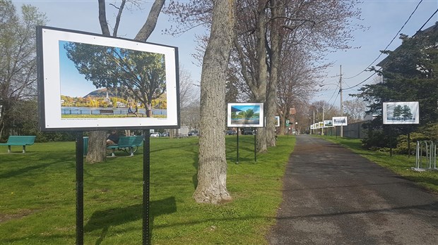 Appel de projets pour le fonds culturel de Beloeil 2022