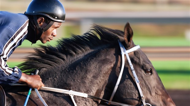 La région de la Rive-Sud de Montréal en route vers la 25e édition de Caballista