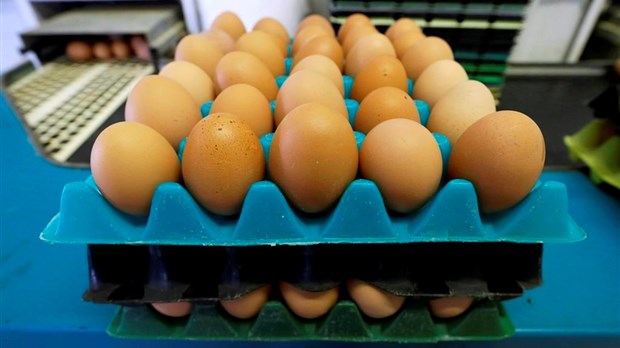 Les banques alimentaires du Québec sonnent l'alarme