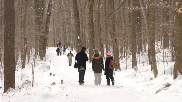 Trouver refuge dans la nature est de plus en plus populaire