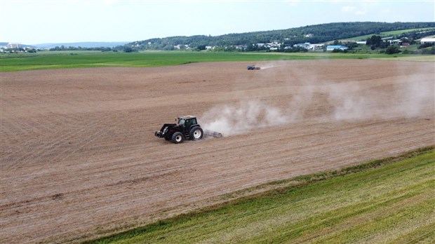 La bioséquestration peut générer des revenus en améliorant la santé des sols