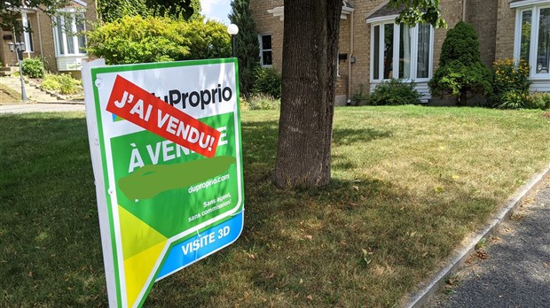 Forte hausse des ventes immobilières à travers la province