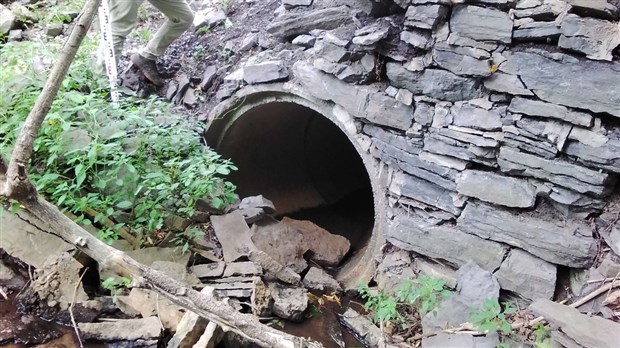 De nombreuses traverses de cours d’eau nécessitent une restauration en Montérégie  