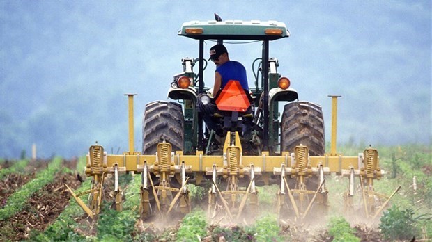Des consultations pour orienter la stratégie nationale sur la main-d'œuvre agricole